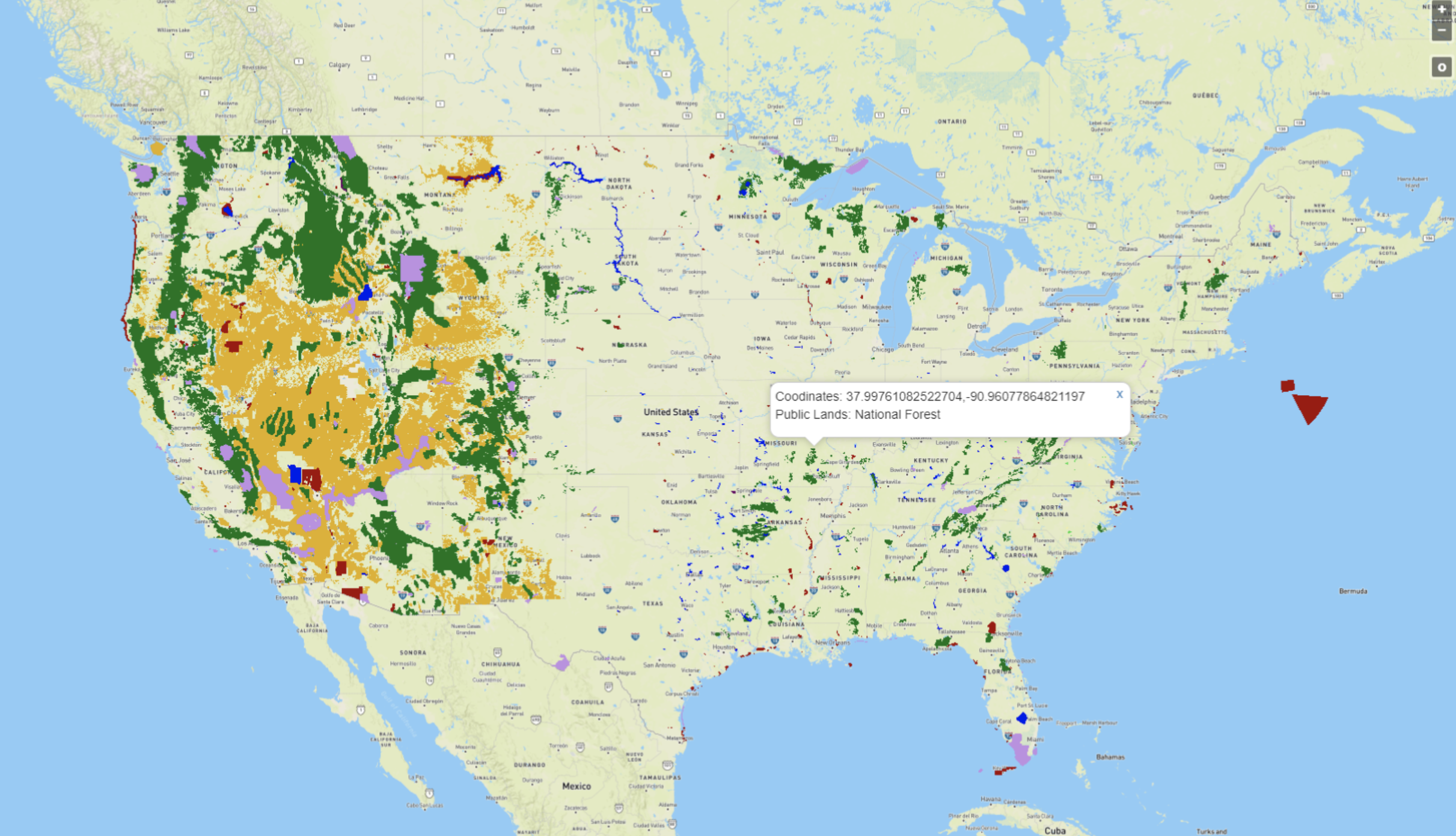 united states forest